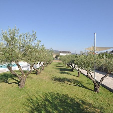 Olival da Seara Villa Marco de Canavezes Exterior foto